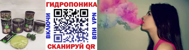 Canna-Cookies марихуана  MEGA маркетплейс  Андреаполь 
