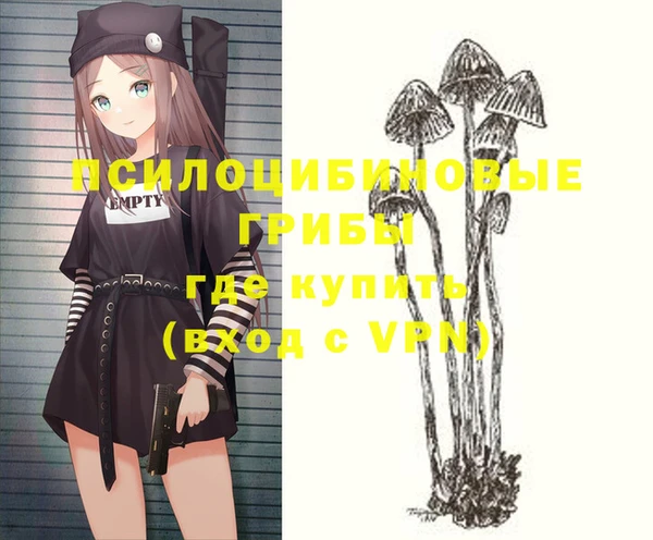 молекула духа Алзамай